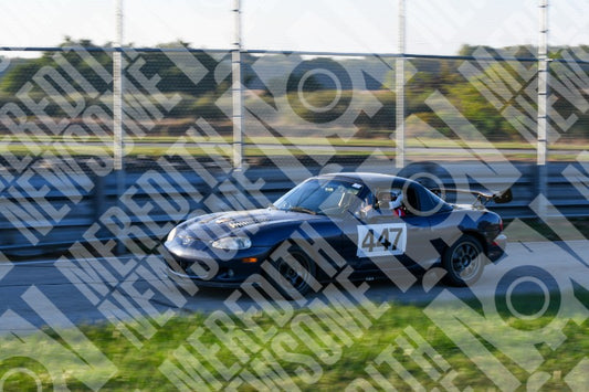 NASA-GINGERMAN09 2025-10-03 7343