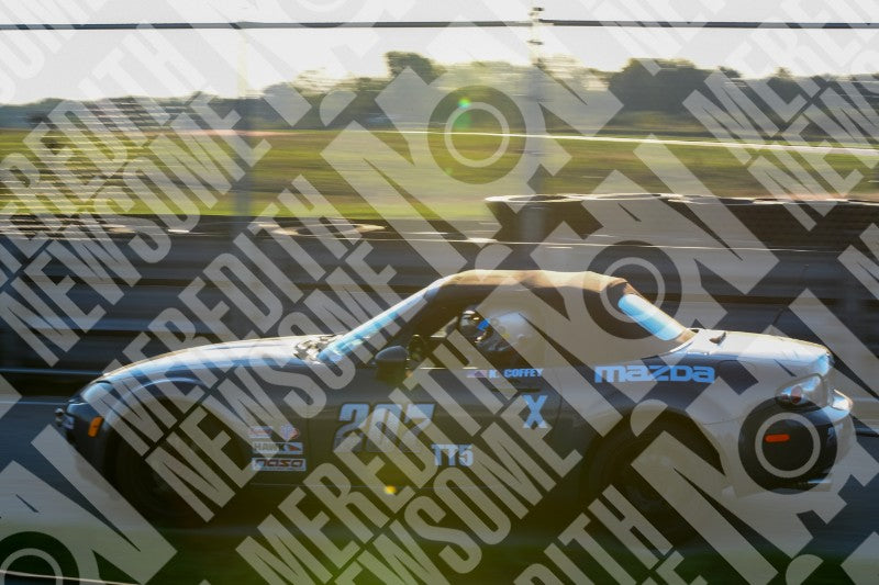 NASA-GINGERMAN09 2025-10-03 7364